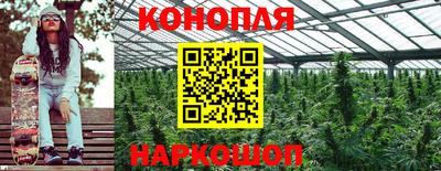 винт Краснодар