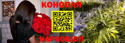 винт Краснодар